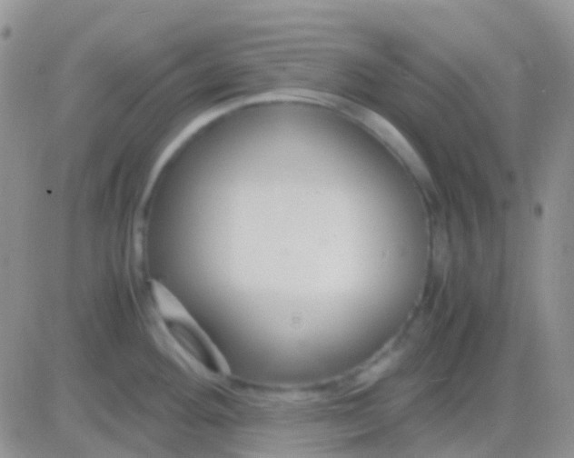 X0000083061292200702232011