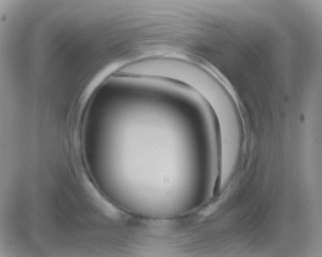 X0000083061293200702232011