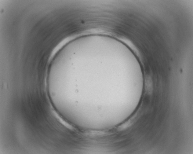 X0000083061294200702232011