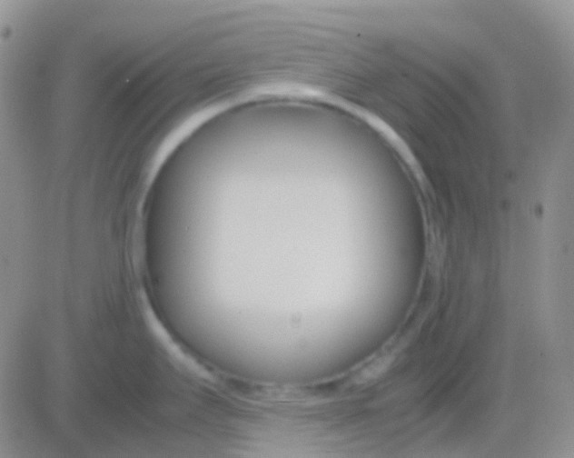 X0000083061295200702232011