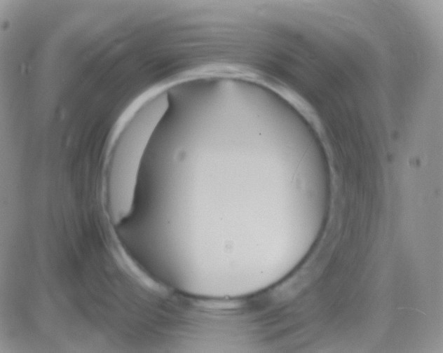 X0000083061296200702232011