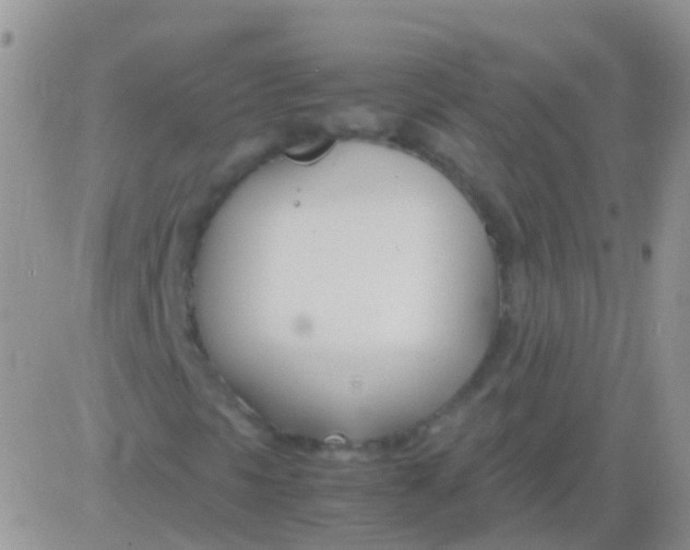 X0000083061297200702232011