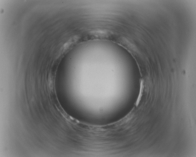 X0000083061298200702232011