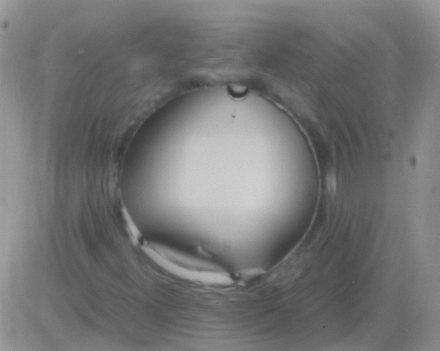 X0000083061300200702232011