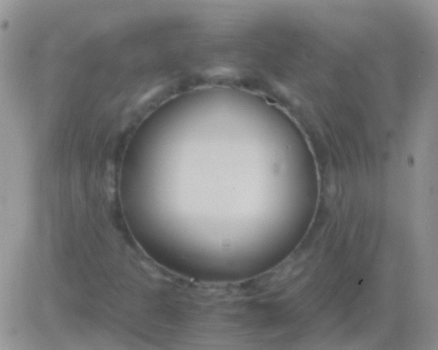 X0000083061301200702232011