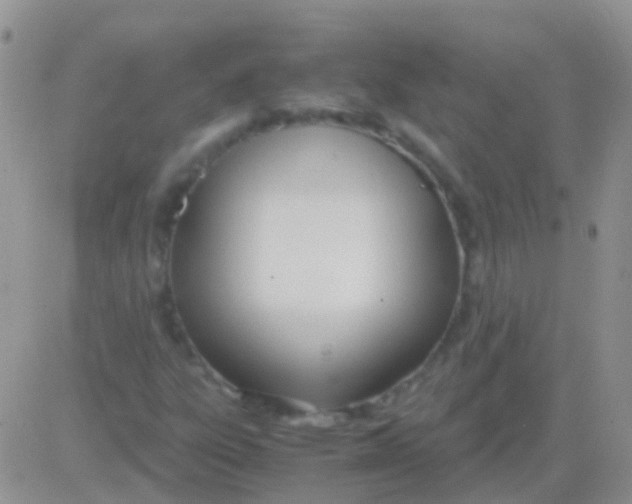 X0000083061303200702232011