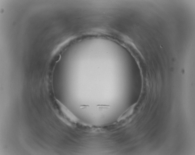 X0000083061304200702232011