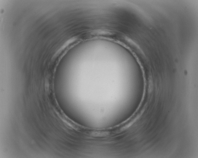 X0000083061305200702232011