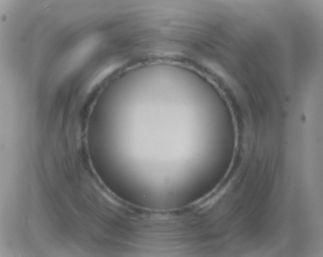 X0000083061306200702232011