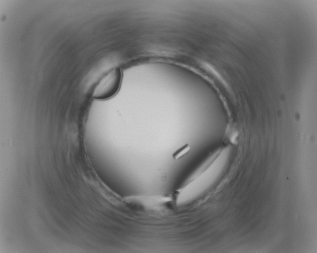 X0000083061307200702232011