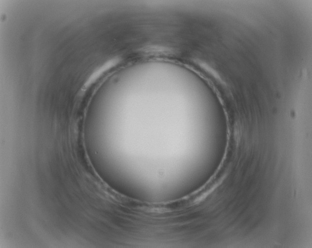 X0000083061309200702232011