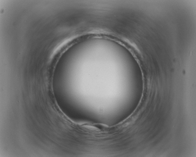 X0000083061311200702232011