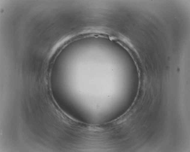 X0000083061312200702232011