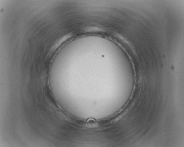 X0000083061313200702232011