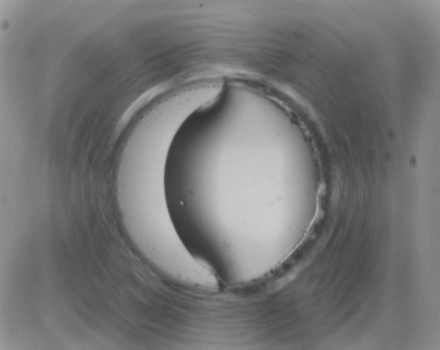 X0000083061314200702232011