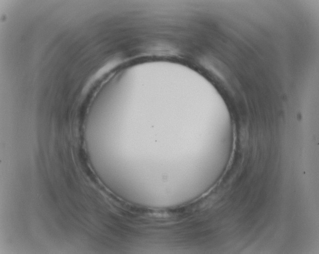 X0000083061315200702232011