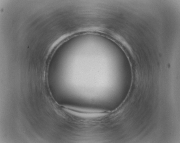 X0000083061316200702232011