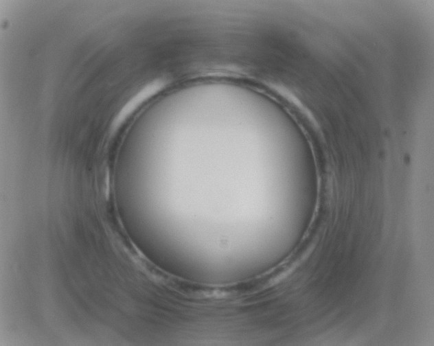 X0000083061317200702232011