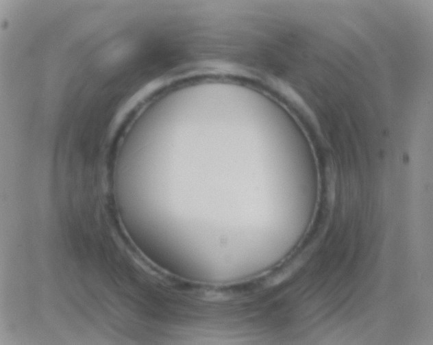 X0000083061318200702232011