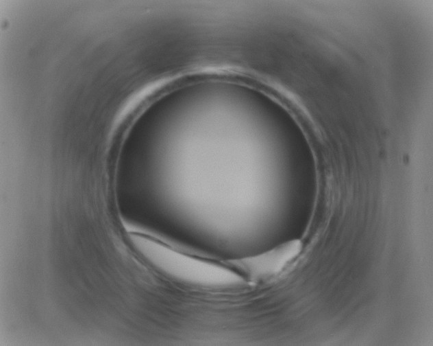 X0000083061319200702232011