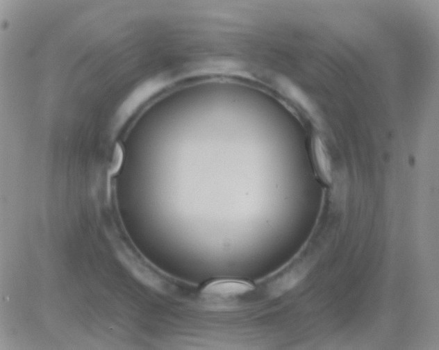 X0000083061320200702232011