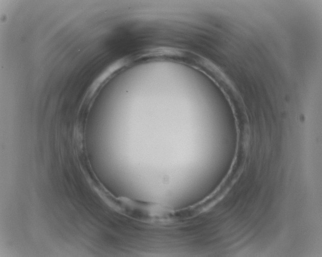 X0000083061321200702232011