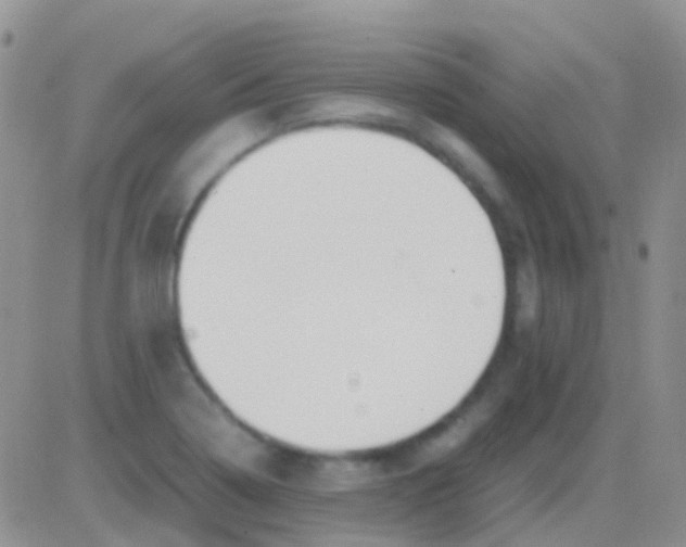 X0000083061322200702232011