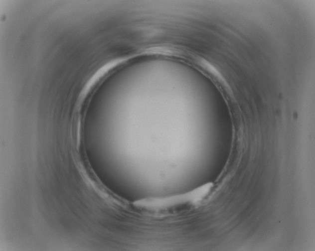 X0000083061323200702232011