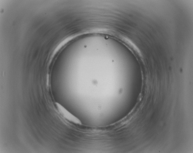 X0000083061324200702232011