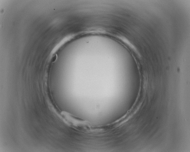 X0000083061325200702232011