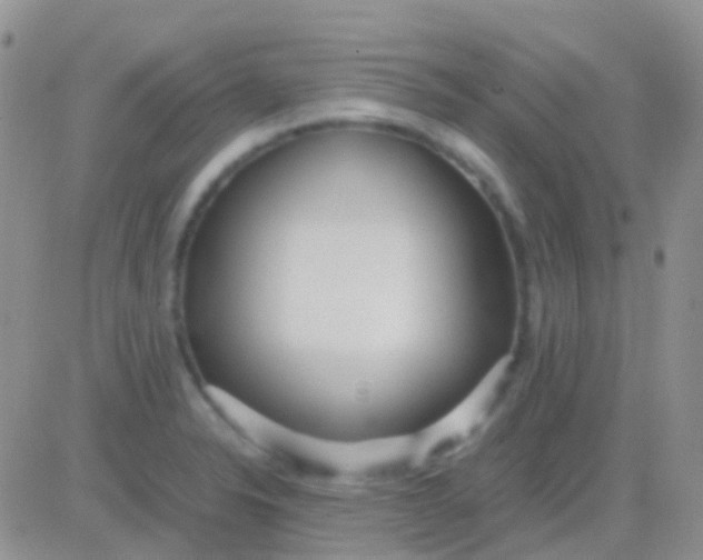 X0000083061326200702232011