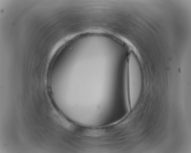 X0000083061327200702232011