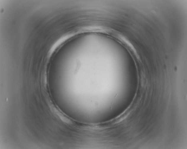 X0000083061328200702232011