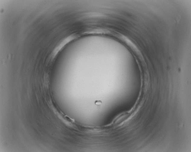 X0000083061329200702232011