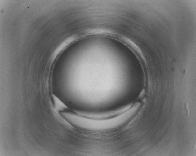 X0000083061330200702232011