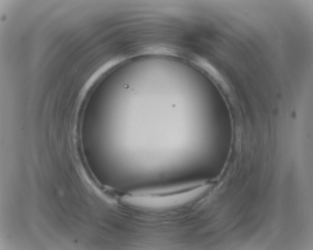 X0000083061331200702232011