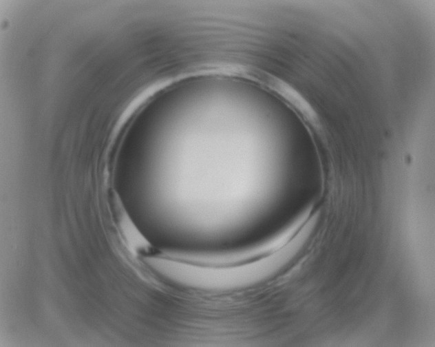 X0000083061332200702232011