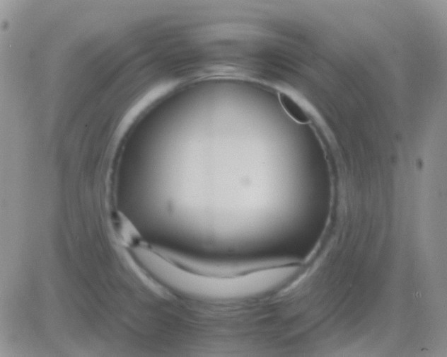 X0000083061333200702232011