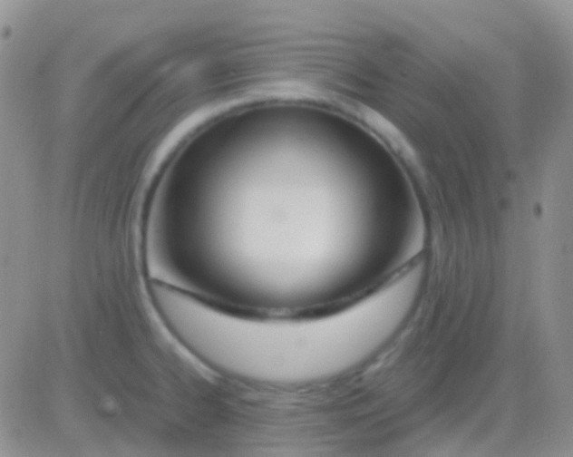 X0000083061334200702232011