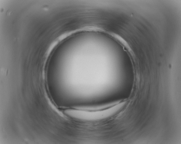 X0000083061335200702232011