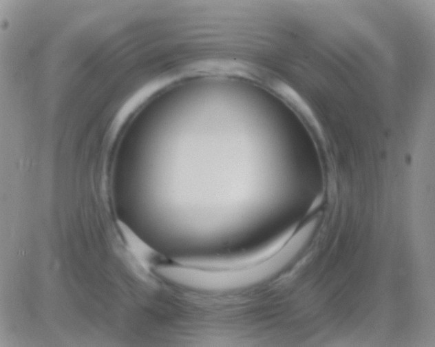 X0000083061336200702232011