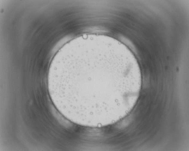 X0000083061338200702232011