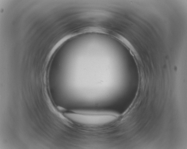 X0000083061339200702232011