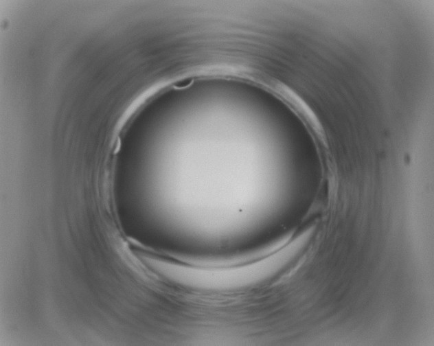 X0000083061340200702232011