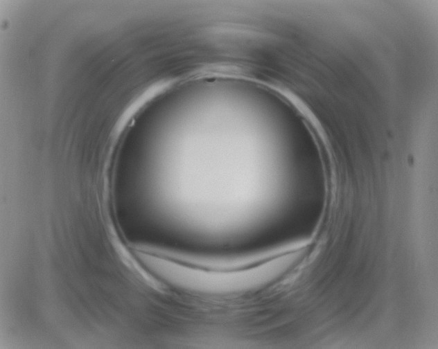 X0000083061341200702232011