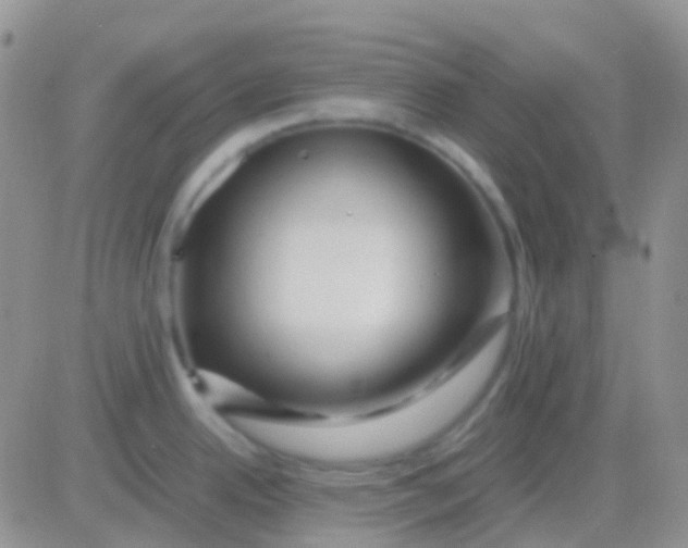 X0000083061342200702232011