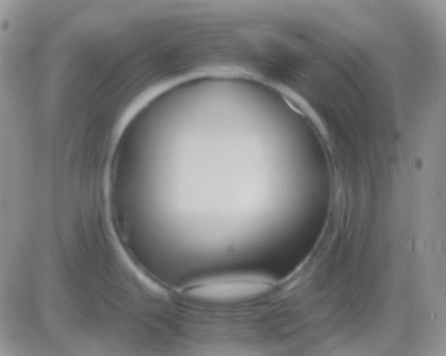 X0000083061343200702232011