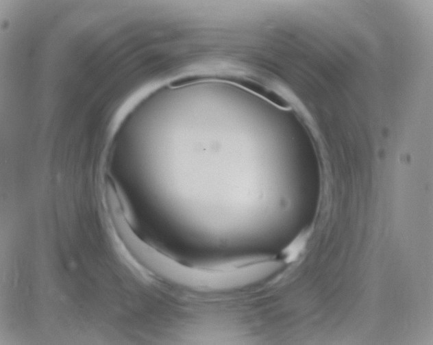 X0000083061344200702232011