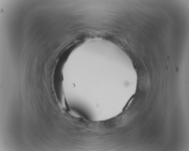 X0000083061345200702232011