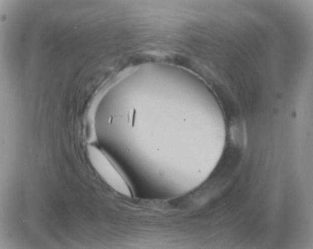 X0000083061347200702232011